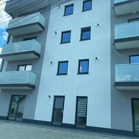 Апартаменты Luxury King Кымпулунг-Молдовенеск Экстерьер фото